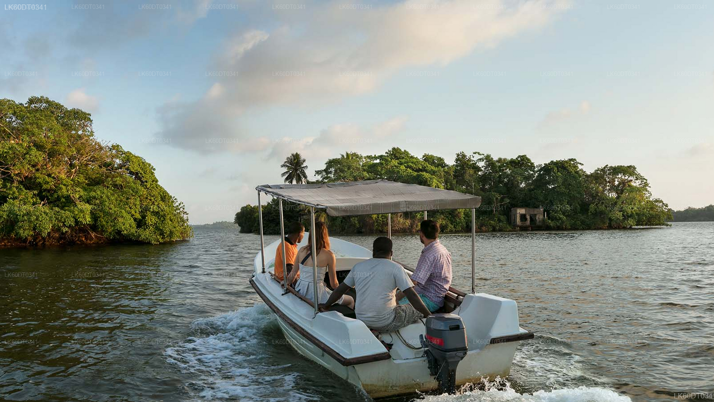 Coastal Transfer from Mirissa to Colombo with Sightseeing Stops