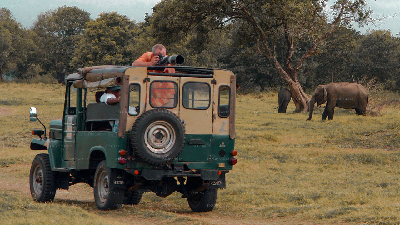 मिरिसा से एला तक प्राइवेट टूर, उदावालावे सफारी के साथ