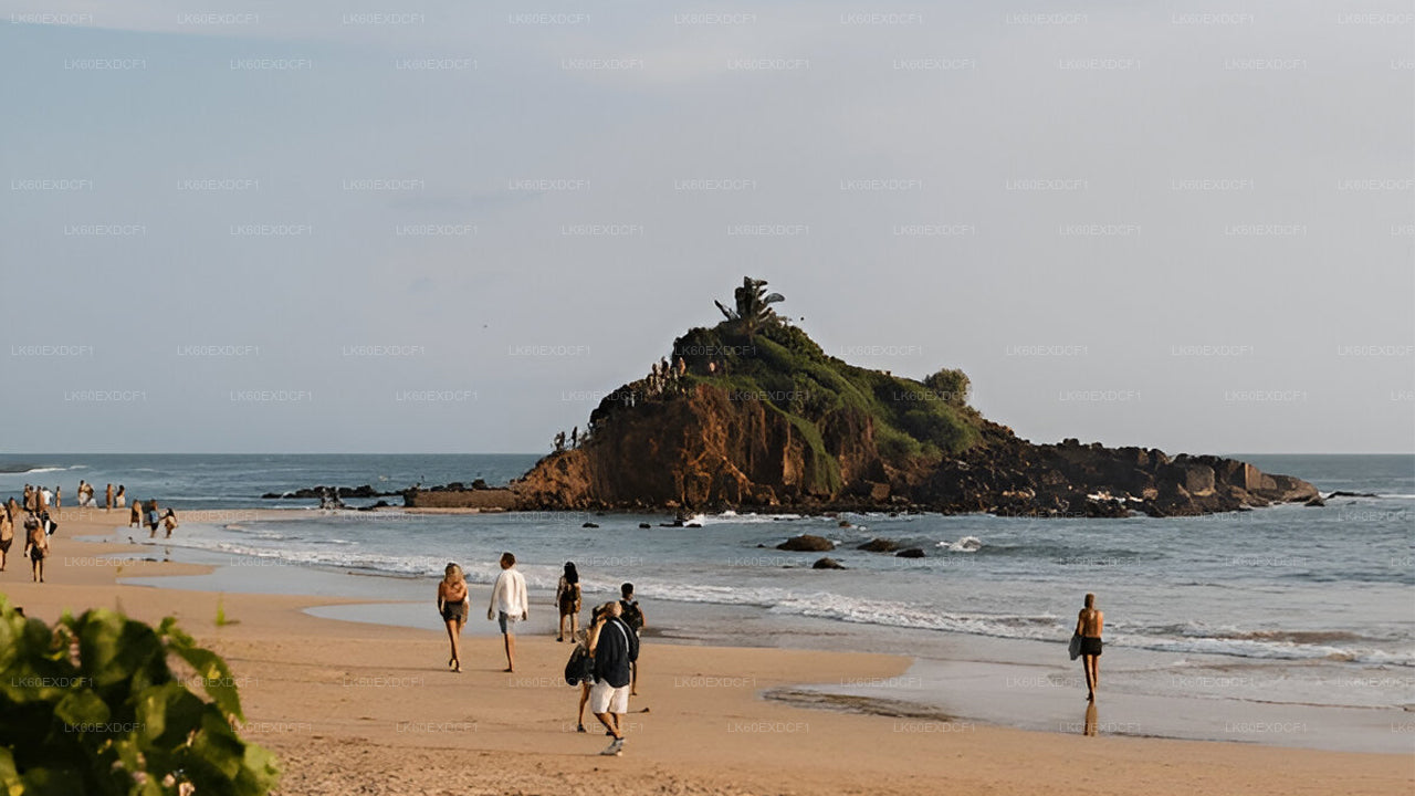 Visite privée d'Ella à Mirissa avec Udawalawe Safari