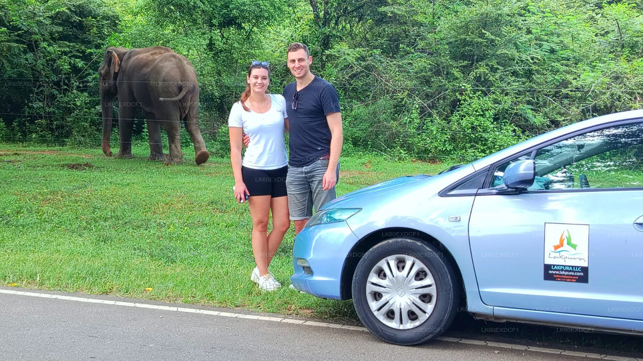 Visite privée d'Ella à Mirissa avec Udawalawe Safari