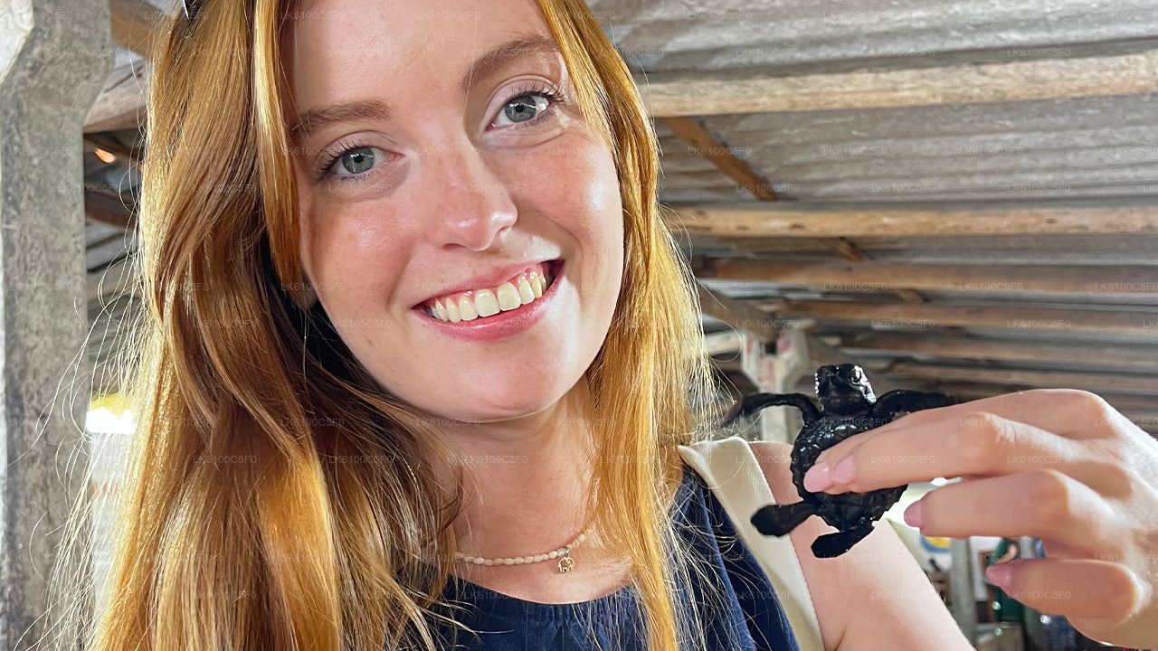 गैले के छिपे हुए रत्नों का अन्वेषण करें और स्थानीय लोगों के साथ भोजन करें