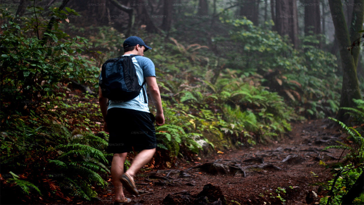 सिंहराजा वर्षा वन साहसिक यात्रा