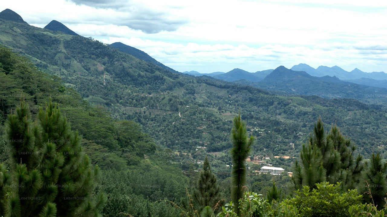 सिंहराजा रेन फॉरेस्ट से लायन रॉक तक ट्रेक