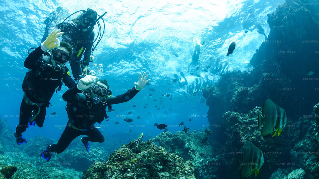 Discover Scuba Diving from Bentota