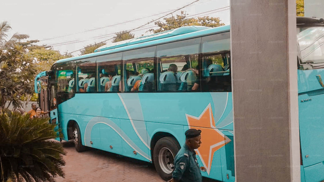 Trincomalee City to Ella City Private Transfer