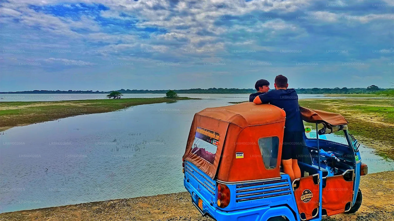 गाले से साउथ कोस्ट टुक टुक सफारी