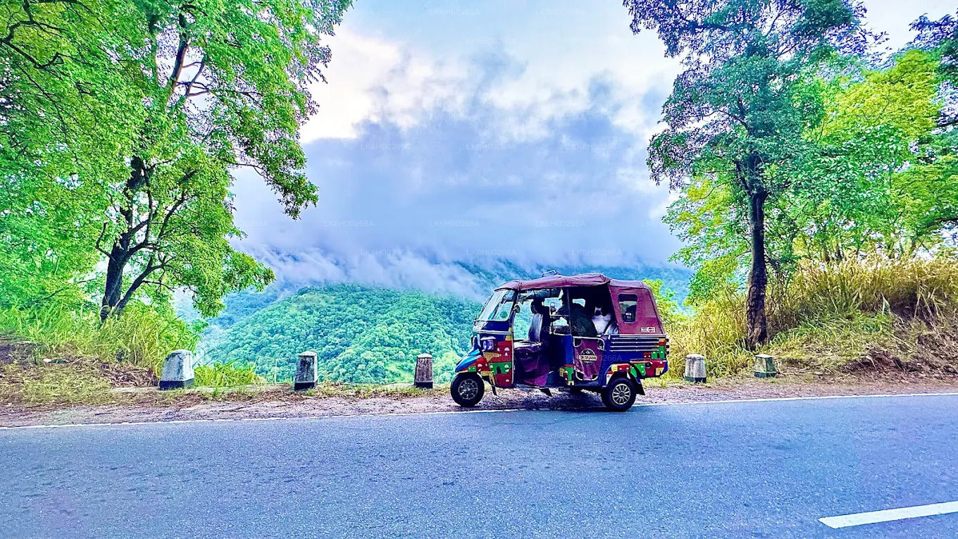 गाले से साउथ कोस्ट टुक टुक सफारी