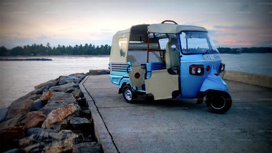 गाले से साउथ कोस्ट टुक टुक सफारी