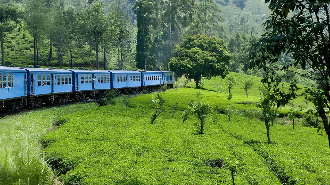 अंबेवेला से एला ट्रेन की सवारी (ट्रेन नंबर 1005/1015)