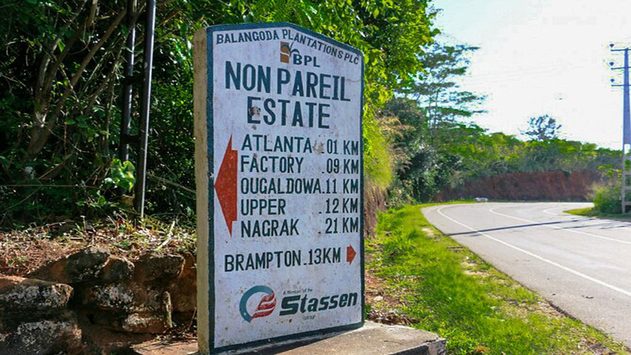 Hiking Nonpareil Trail