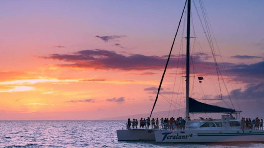 3 hour Private Sunset Cruise from Galle
