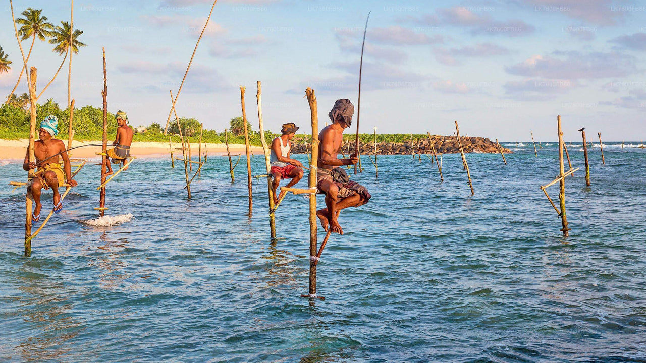 गाले से मछली पकड़ने का दौरा