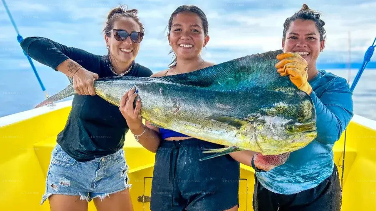 गाले से मछली पकड़ने का दौरा