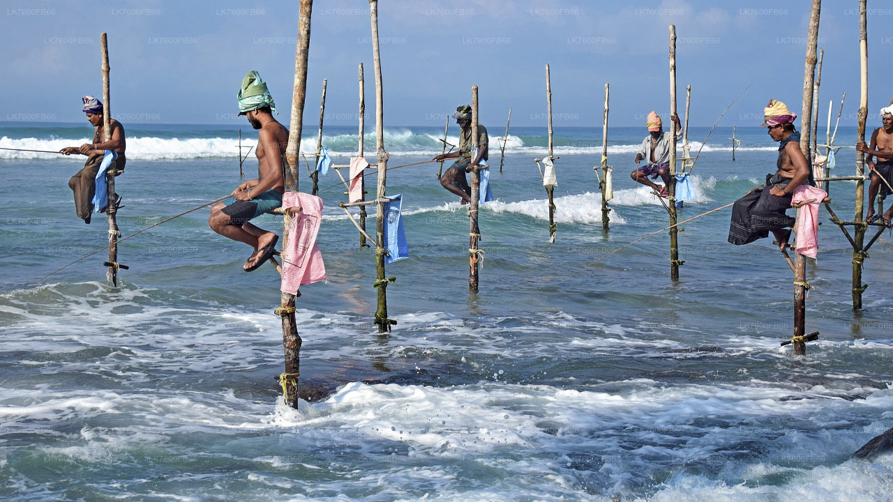 गाले से मछली पकड़ने का दौरा