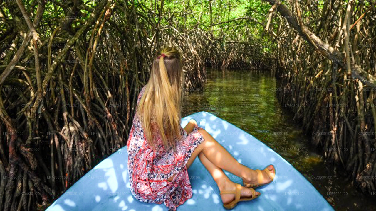 बेरुवाला से बेंटोटा सिटी टूर और गाले