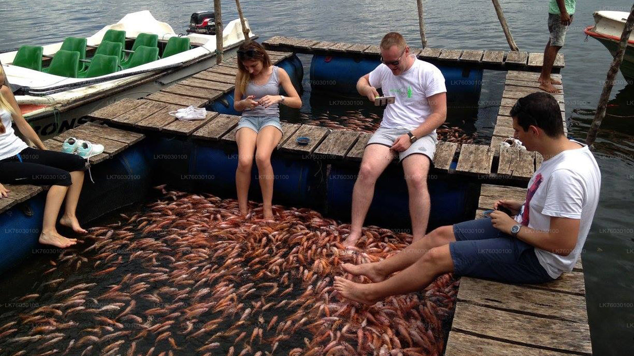 मदु नदी नाव सफारी