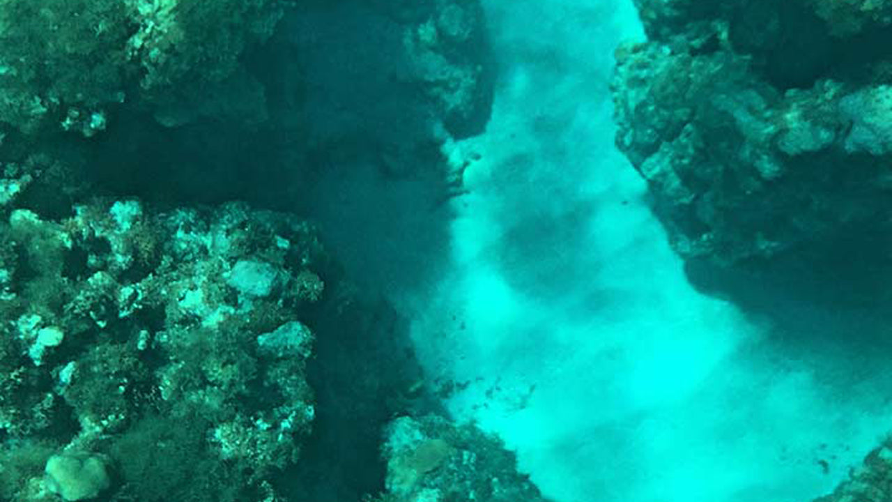 हिक्काडुवा से ग्लास बॉटम बोट राइड