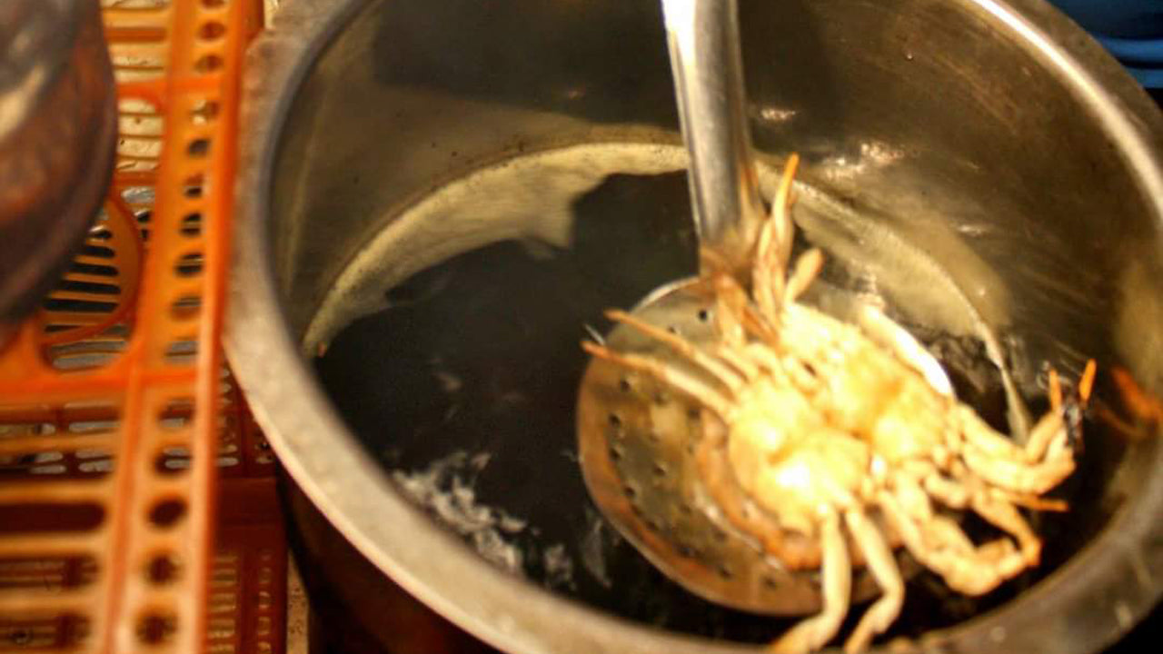 कोलंबो से स्ट्रीटफूड साइकिलिंग टूर