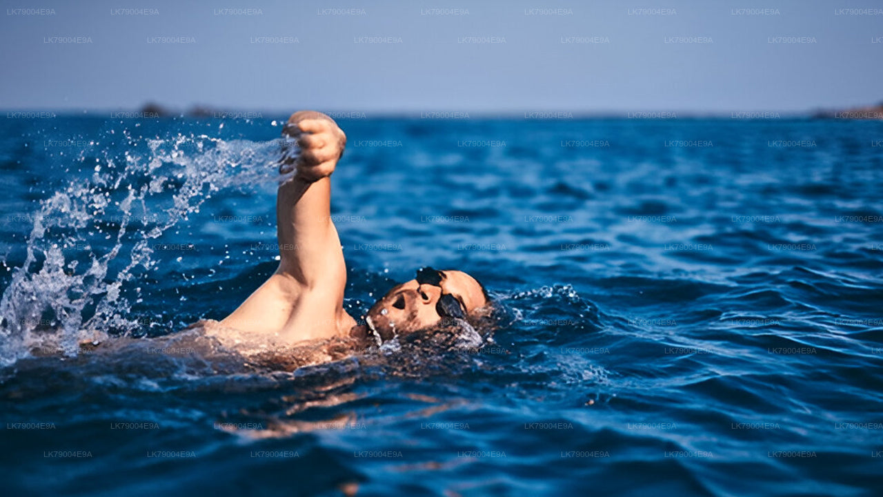 गैले से 3 घंटे का शेयर्ड सनसेट क्रूज़