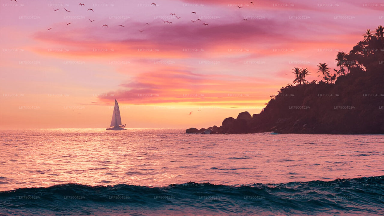 गैले से 3 घंटे का शेयर्ड सनसेट क्रूज़