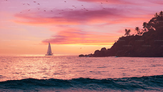 गैले से 3 घंटे का शेयर्ड सनसेट क्रूज़