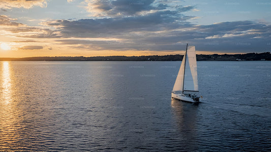 मिरिसा से 3 घंटे का शेयर्ड सनसेट क्रूज़