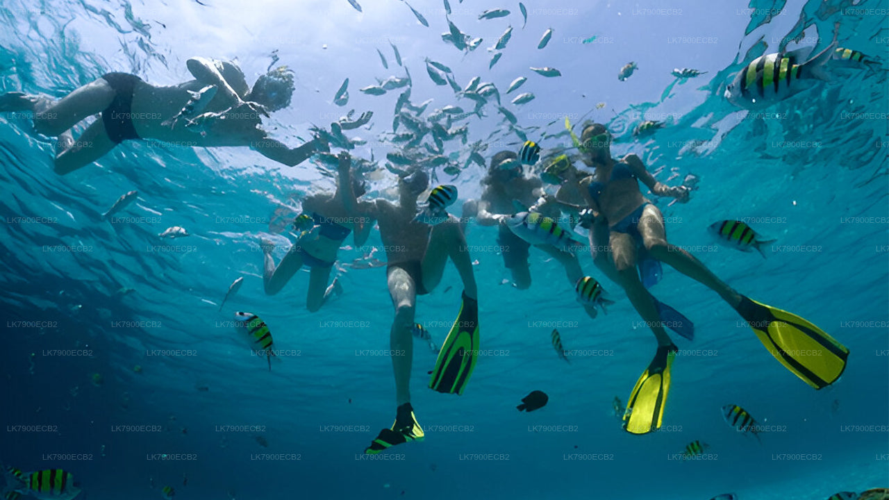 मिरिसा से ओशन डायमंड पर 2-रात का क्रूज़ अनुभव