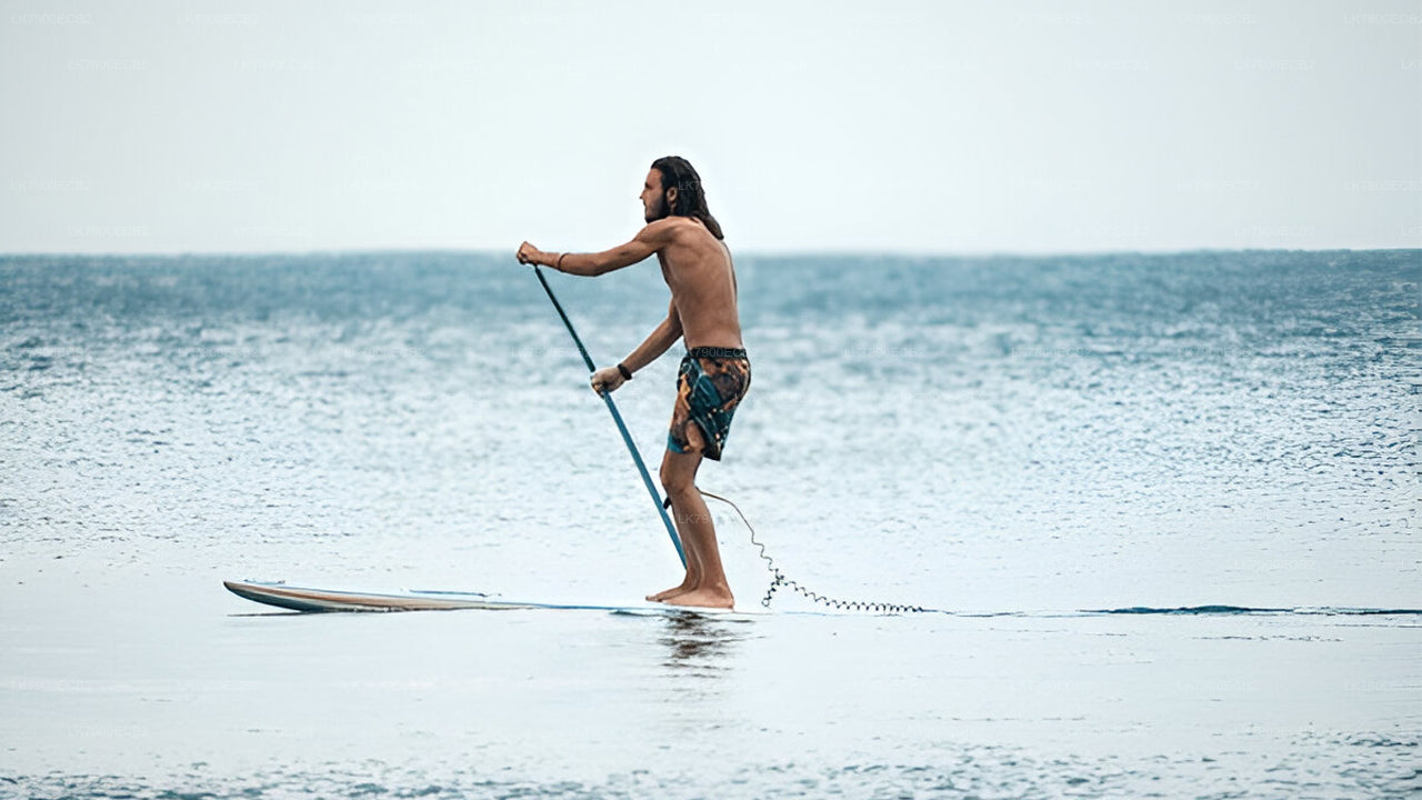 मिरिसा से ओशन डायमंड पर 2-रात का क्रूज़ अनुभव