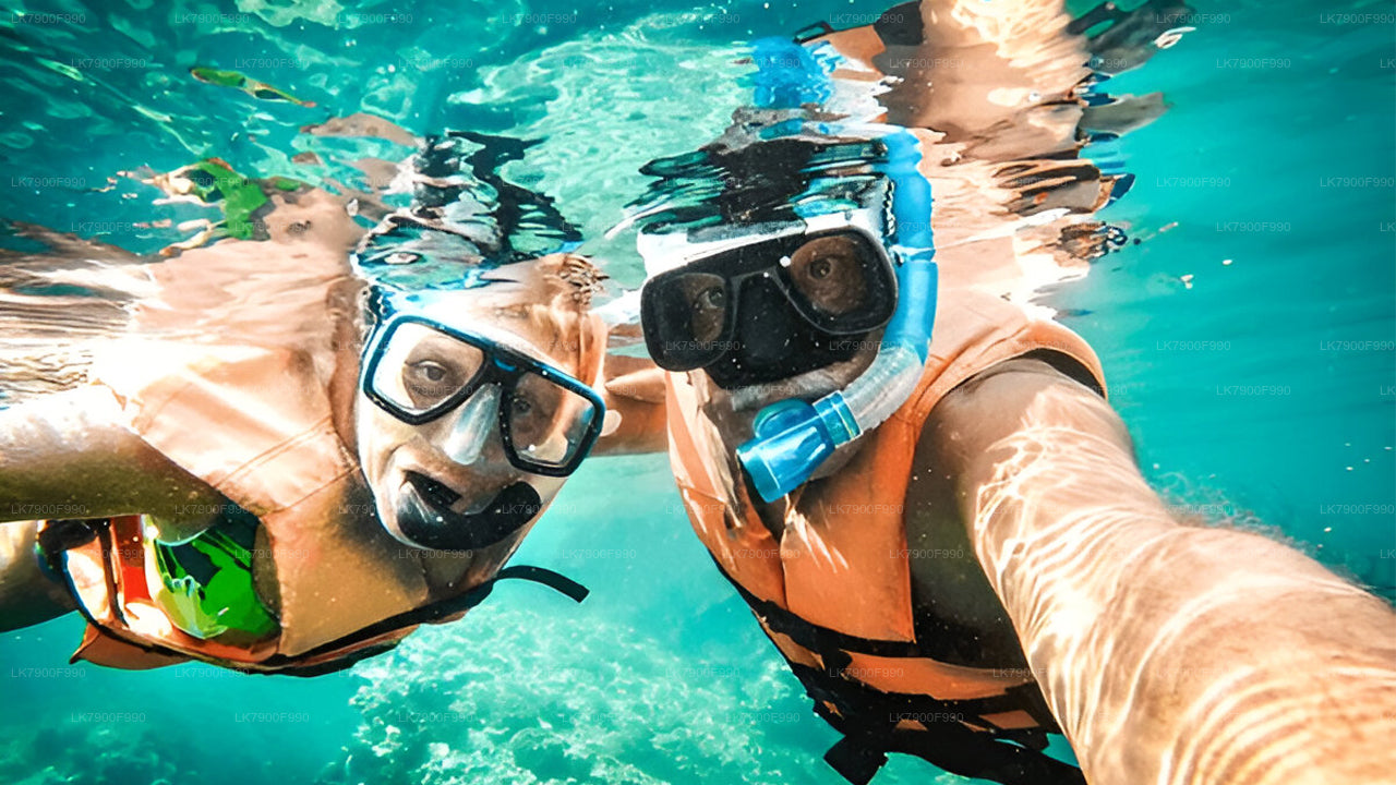 7 Hour whale watching cruise from Trincomalee