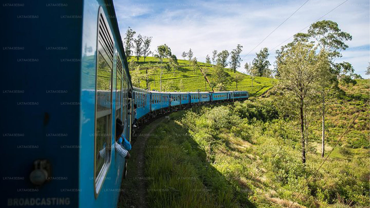 Train Ticket Reservation from Kandy