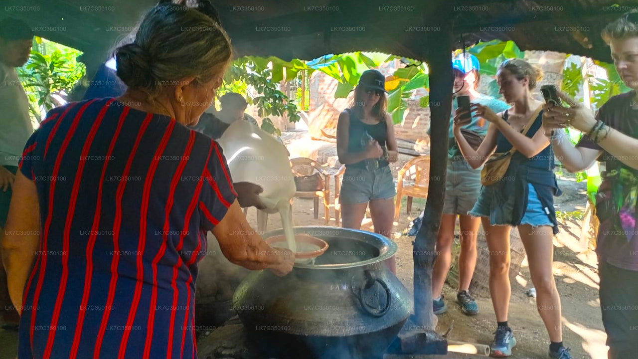 तिस्सामहाराम से दही प्रसंस्करण का अनुभव