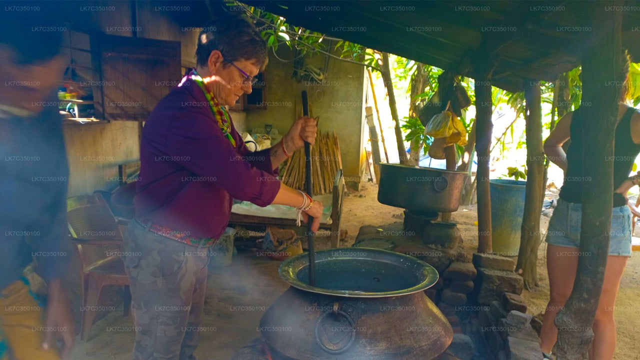 तिस्सामहाराम से दही प्रसंस्करण का अनुभव