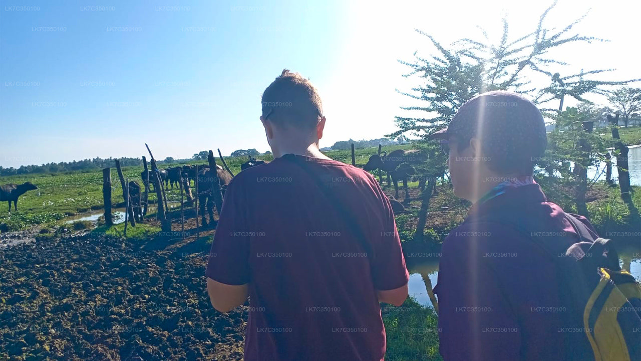 तिस्सामहाराम से दही प्रसंस्करण का अनुभव