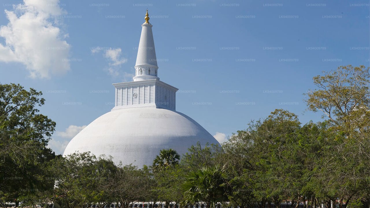 कोलंबो से पवित्र शहर अनुराधापुरा