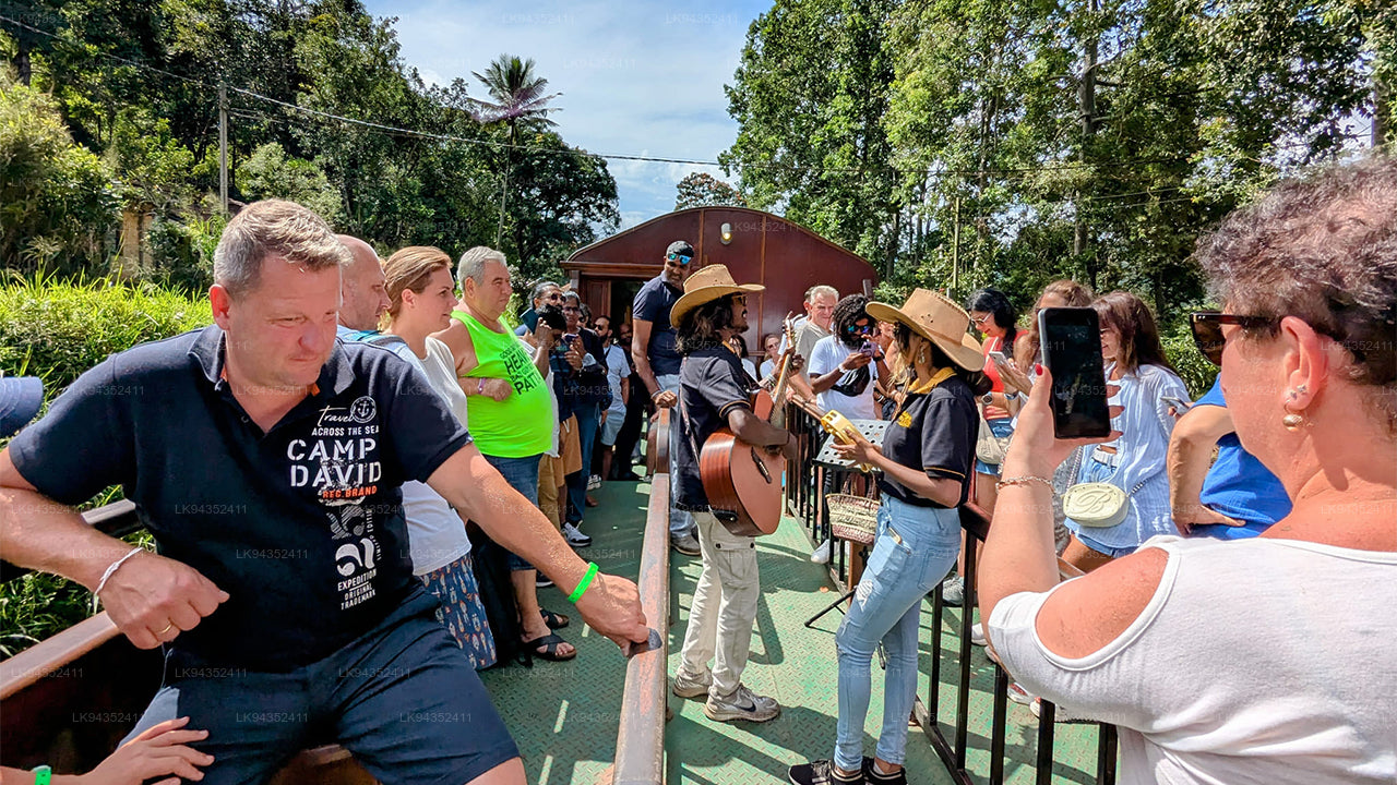 Calypso Tourist Train Ride