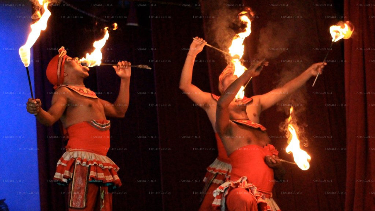 कैंडी शहर का दौरा