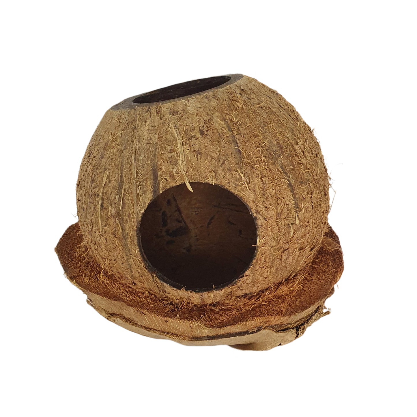 Bivenro Natural Coconut Bird Nest With Husk Cap Design (Free Size)