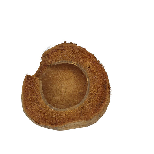 Bivenro Natural 3/4 Cocoa Hideout With Husk design (Free Size)