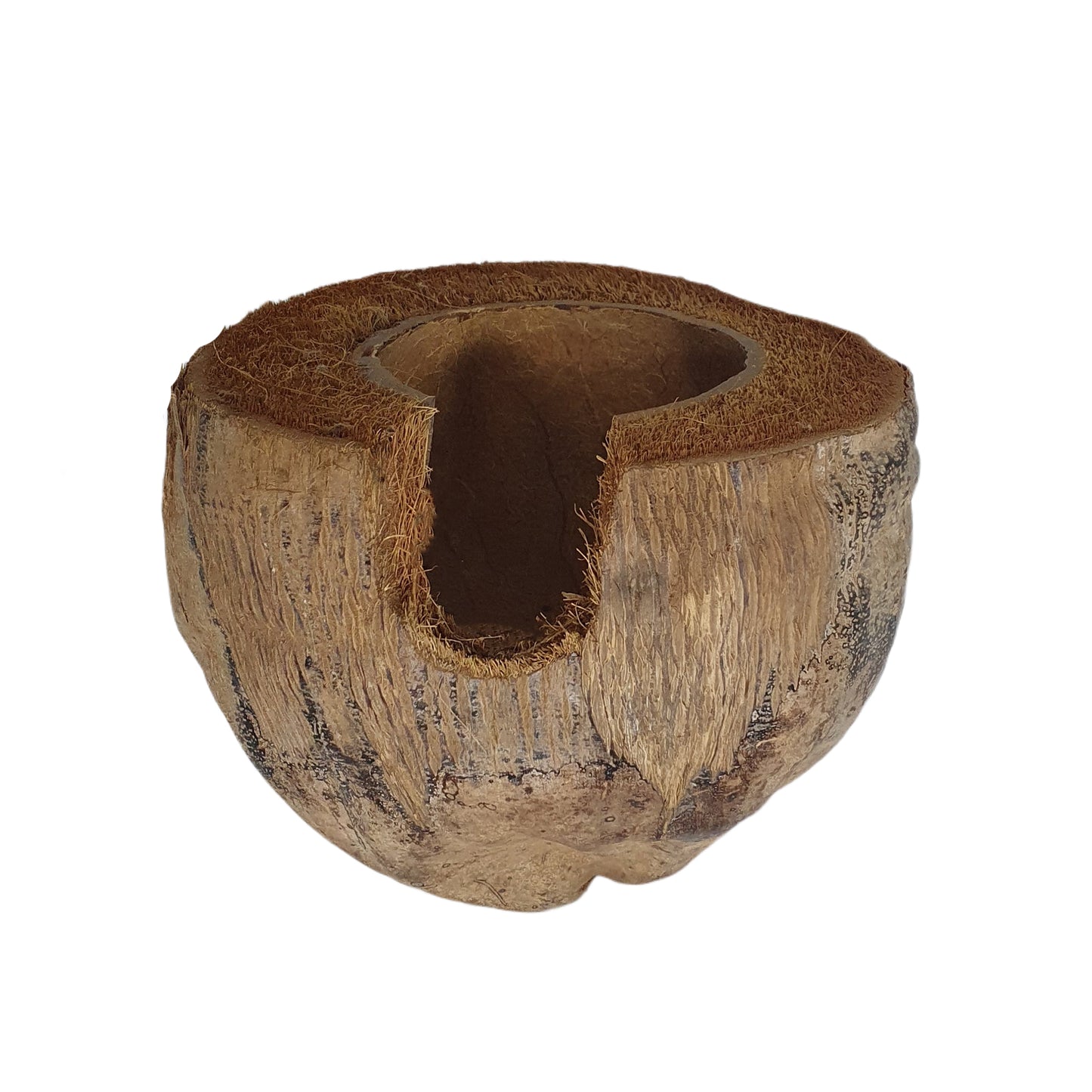 Bivenro Natural 3/4 Cocoa Hideout With Husk design (Free Size)