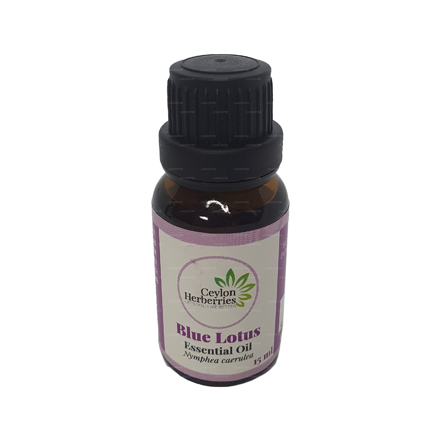 Ceylon Herberries Blue Lotus Essential Oil (15ml)