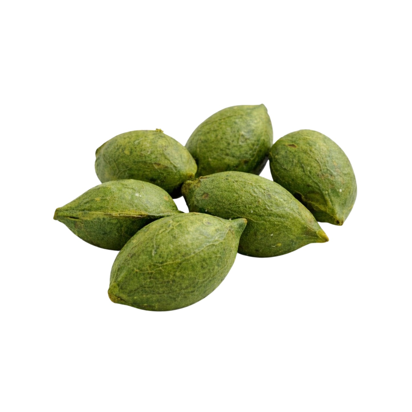 लकपुरा® टर्मिनलिया कैटप्पा (कोट्टाम्बा) साबुत बीज