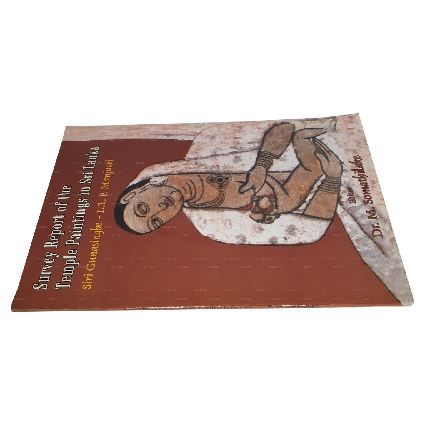 Survey Report of The Temple Paintings In Sri Lanka