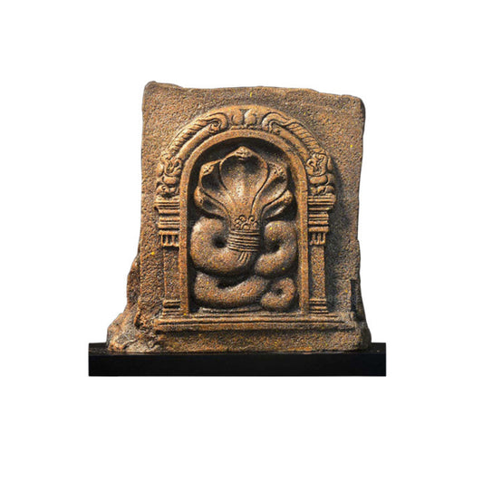 NHRC Five Hooded Cobra - Anuradhapura