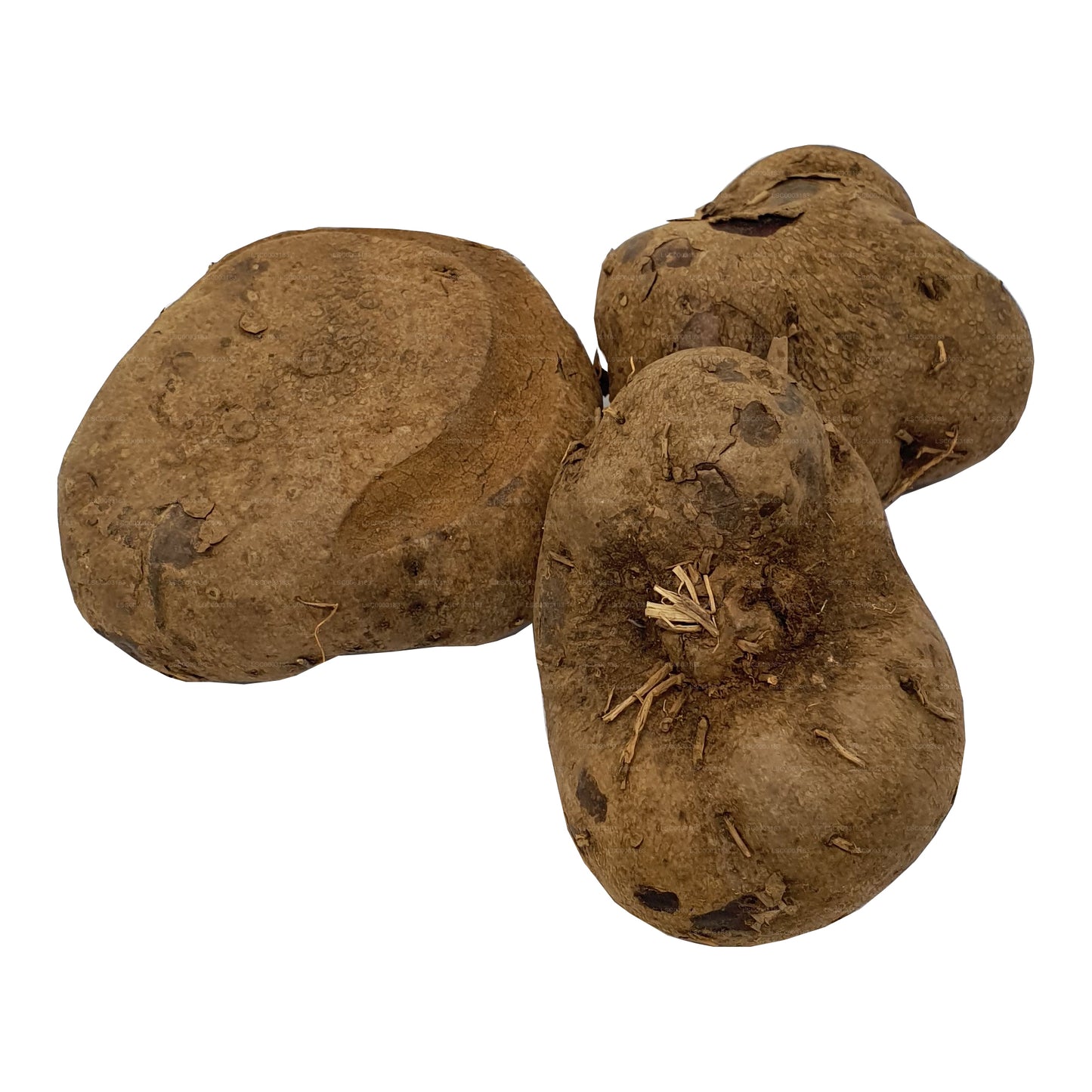 Lakpura® Dandila - Purple Yam - Dandila Ala