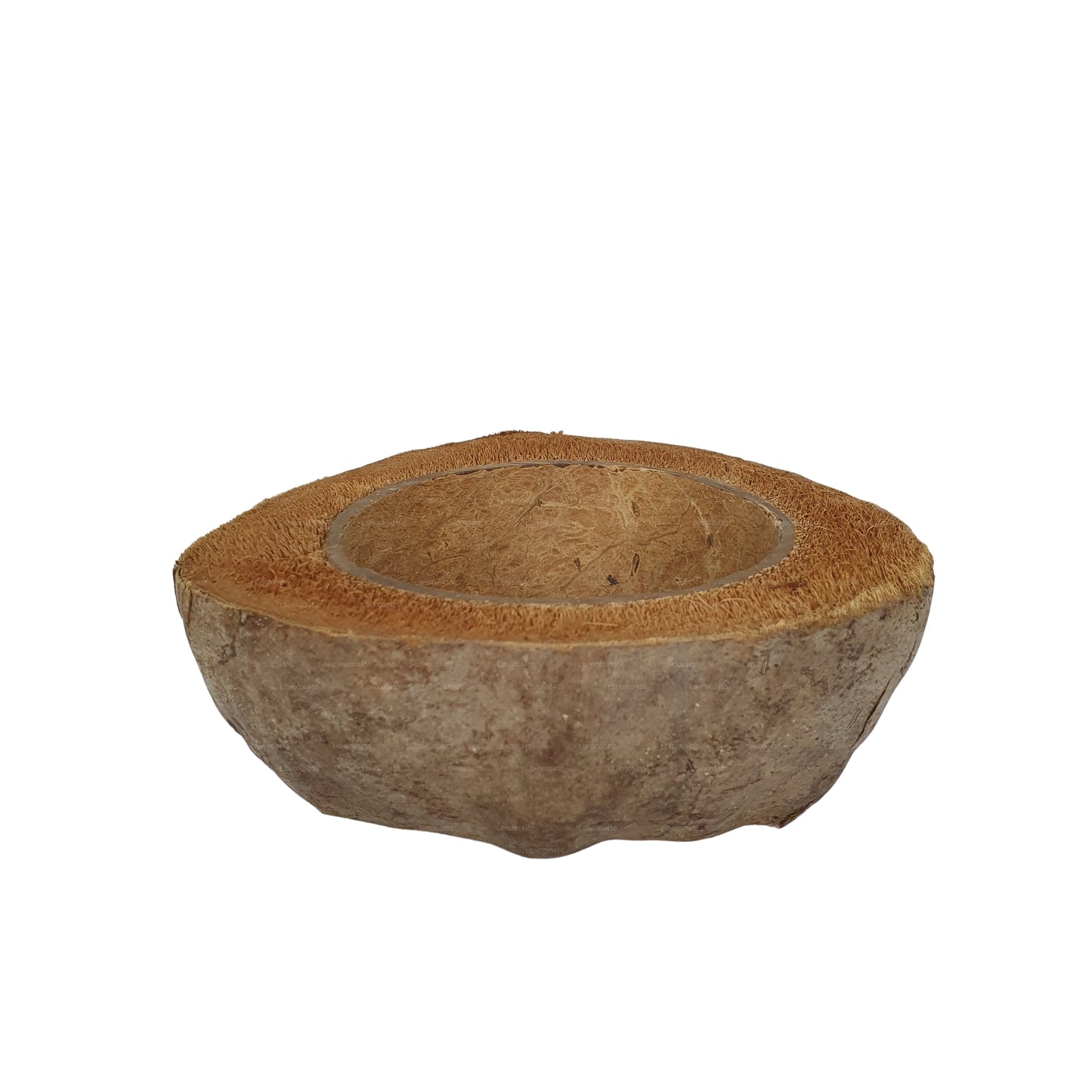 Bivenro Natural Coconut Planting Pot Design (Free Size)