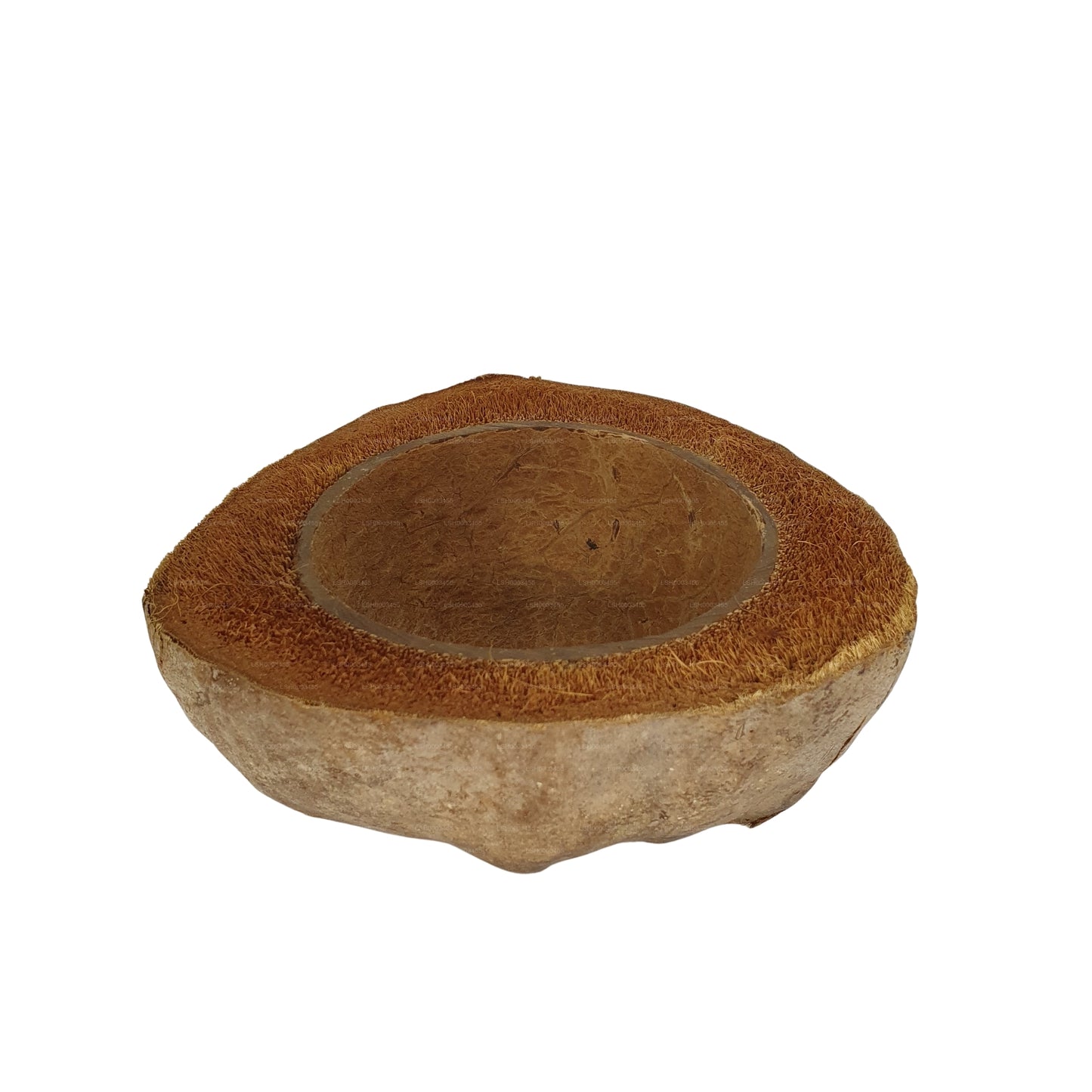 Bivenro Natural Coconut Planting Pot Design (Free Size)