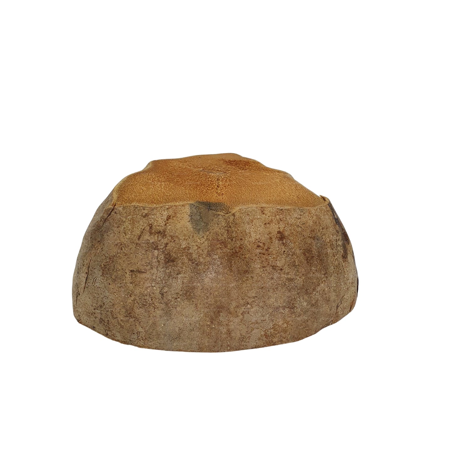 Bivenro Natural Coconut Planting Pot Design (Free Size)