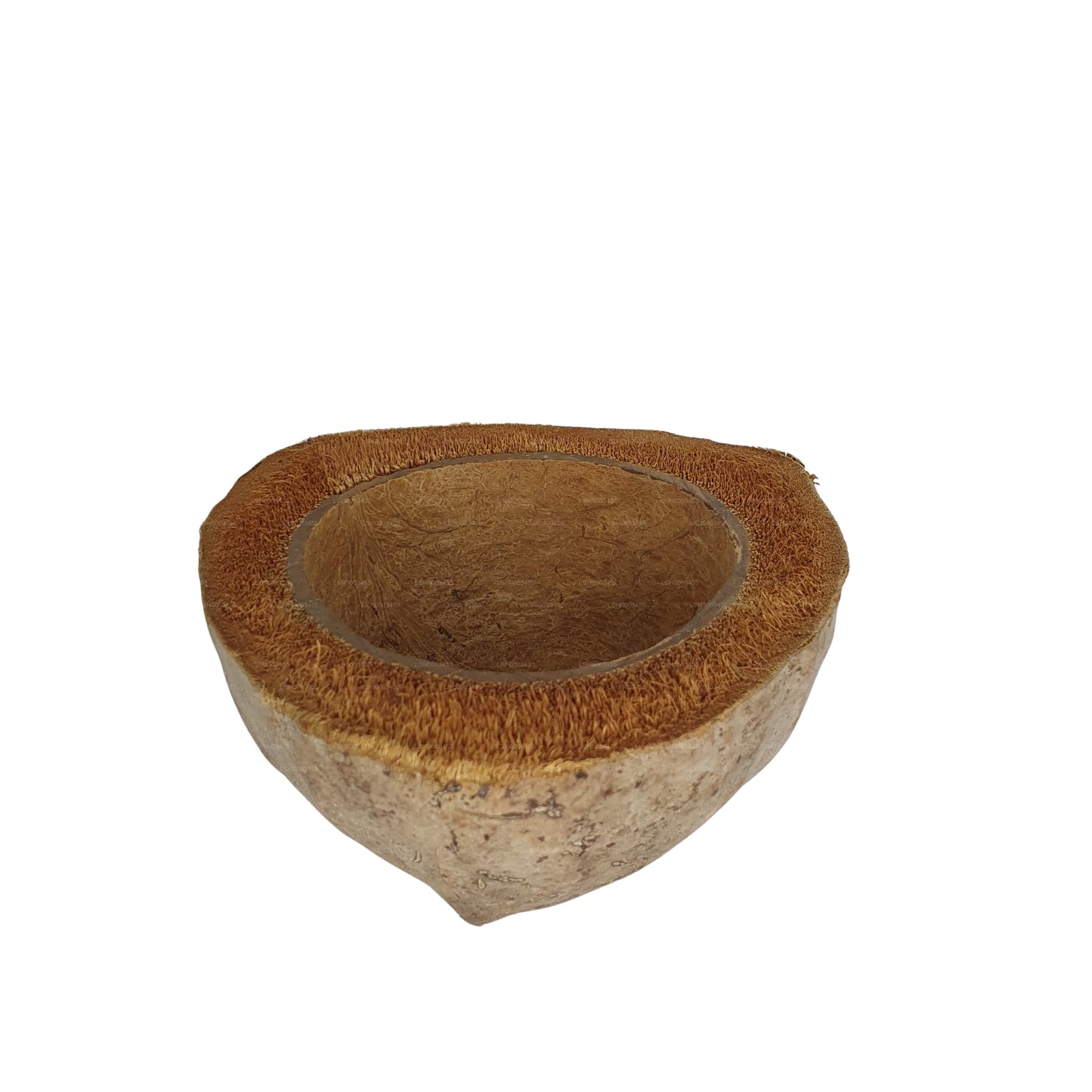 Bivenro Natural Coconut Planting Pot Design (Free Size)