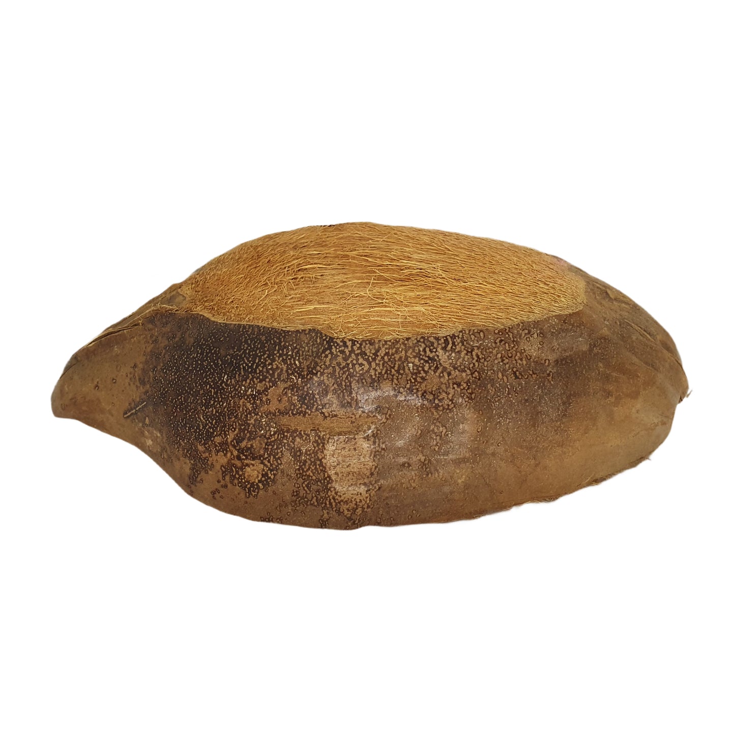 Bivenro Natural Coconut Pet Bowl Design (Free Size)