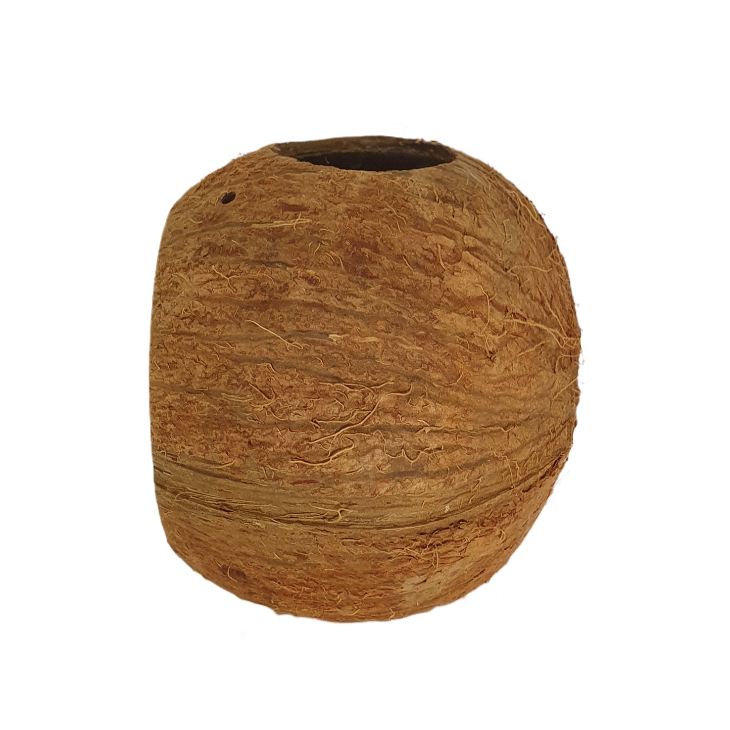 Bivenro Natural 3/4 Coconut Shell Cave (Free Size)
